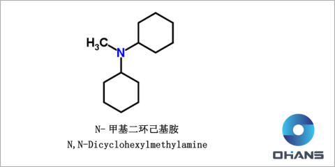 N,N-디시클로헥실메틸아민